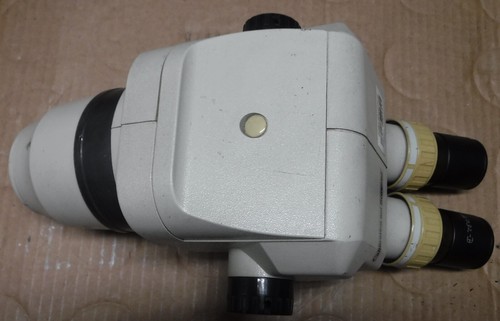 Stereo inspection microscope - stereo,