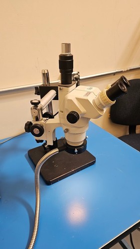 Binocular zoom stereo - binocular,
