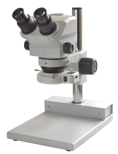 Professional stereo microscope